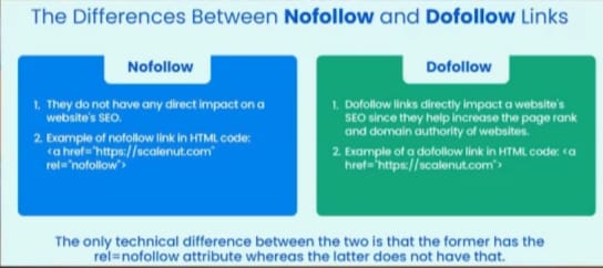 SEO Fundamentals: Build a Strong Foundation for Top Rankings & Website Traffic