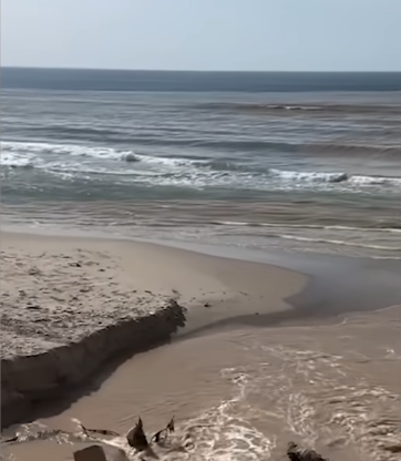 Environmental Impact and Cyber Warfare